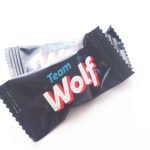 Realizácia - Team Wolf